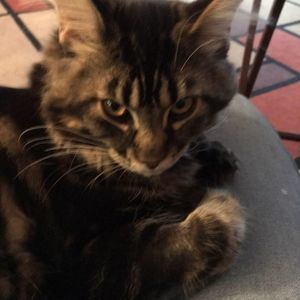 Meet your Posher, Kate